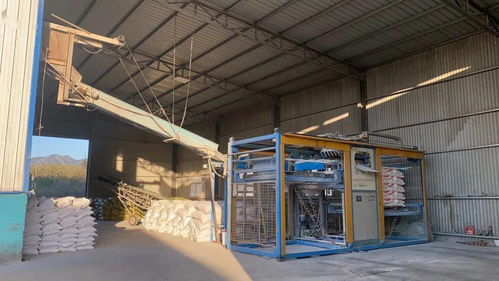 諸南面粉廠誠招全國經銷商，攜手共贏，共創未來