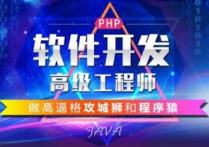 重慶軟件開發(fā)培訓 開啟山城數(shù)字未來的鑰匙